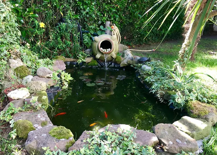 Location Dans Les Landes Et Le Pays Basque * Labenne