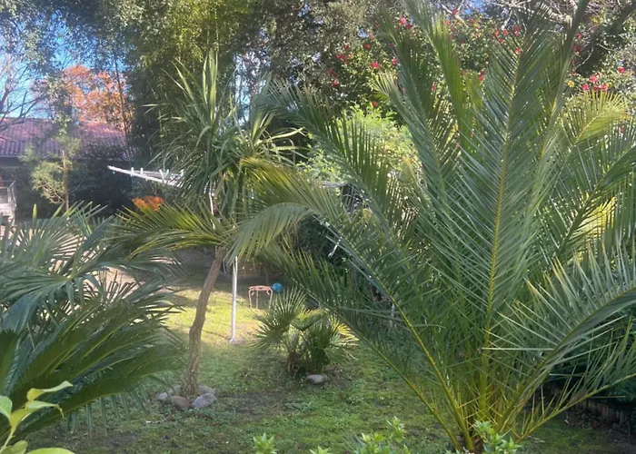 Location Dans Les Landes Et Le Pays Basque Διαμέρισμα