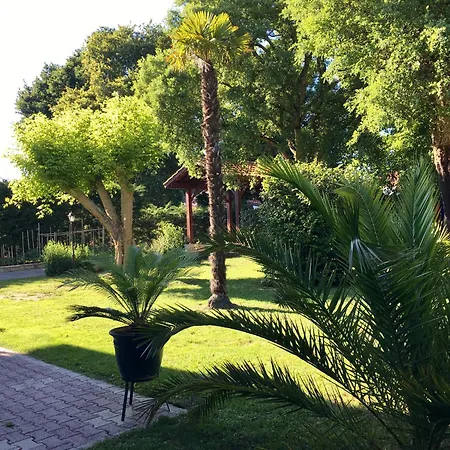 Daire Location Dans Les Landes Et Le Pays Basque *