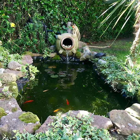 Location Dans Les Landes Et Le Pays Basque * Labenne